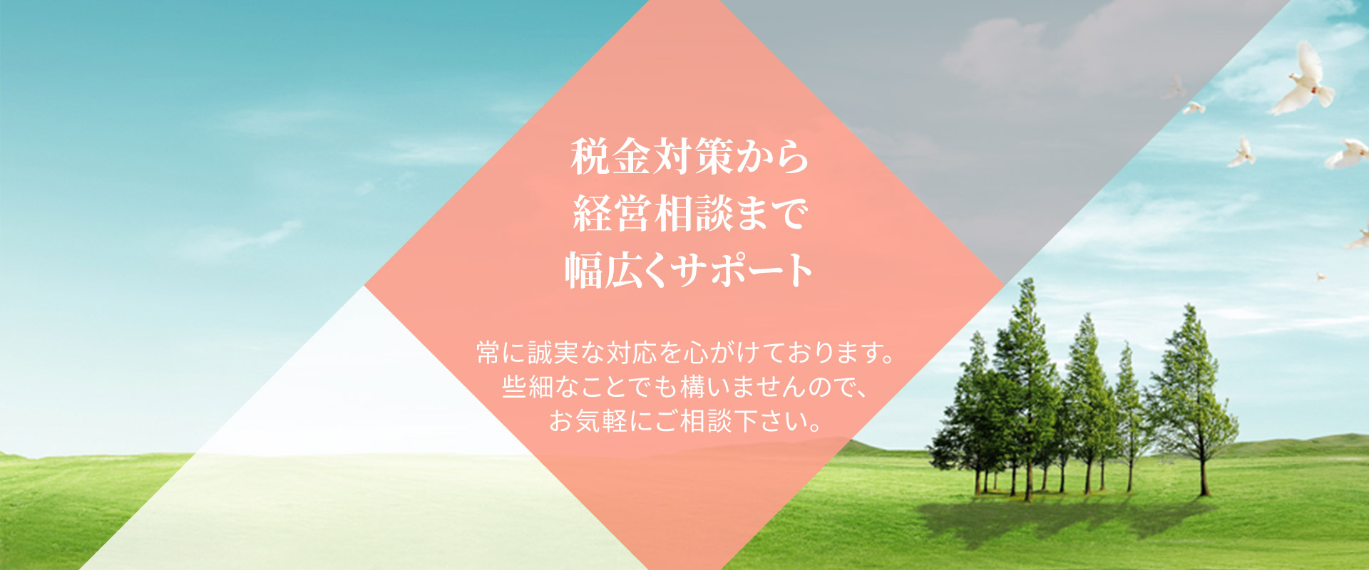 税金対策から経営相談まで幅広くサポート